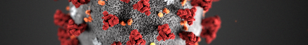 2019-nCoV-banner-new